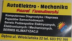 AutoElektro-Mechanika Paweł Twardowski, Dębno godziny otwarcia