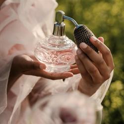 Mała Perfumeria - Perfumy, Kosmetyki, Biała Rawska godziny otwarcia