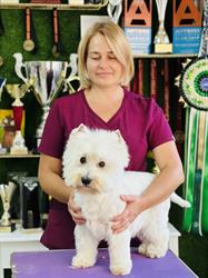 Salon PSIękności - Psi Groomer/Fryzjer Lublin, godziny otwarcia