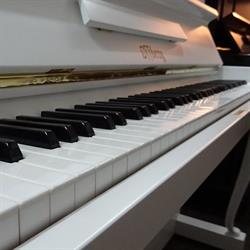 Art_Piano, Piaseczno godziny otwarcia