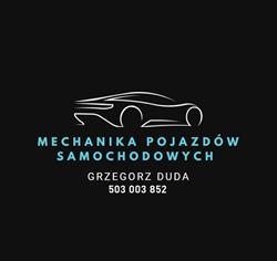Mechanika Pojazdów Samochodowych Grzegorz Duda, Gołuchów godziny otwarcia