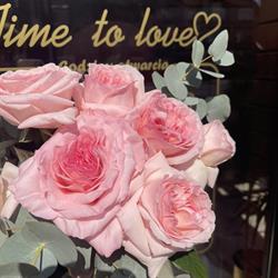 Kwiaciarnia Time to love, Świebodzin godziny otwarcia