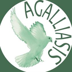 Wspólnota Katolicka Agalliasis, Wrocław godziny otwarcia