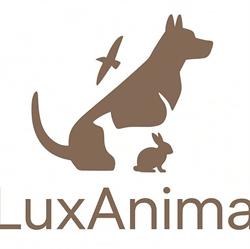 LuxAnima, Kielce godziny otwarcia