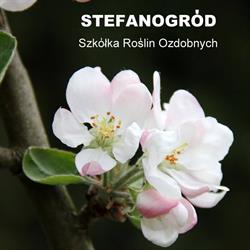 Stefanogród, Jugowiec godziny otwarcia