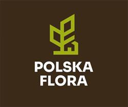 Pielęgnacja i wycinka drzew Bielsko-Biała, Czechowice-Dziedzice godziny otwarcia
