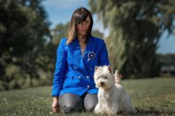 Fizjo Home Dog - Salon Pielęgnacji Psów, Hodowla West Highland White Terrier, Człuchów godziny otwarcia