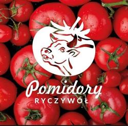 Polskie Pomidory Ryczywół - Sklepy Firmowe Oddział Kozienice - HURT / DETAL, godziny otwarcia