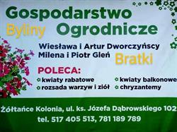 Gospodarstwo Ogrodnicze Wiesława i Artur Dworczyńscy, Milena i Piotr Gleń, Żółtańce-Kolonia godziny otwarcia