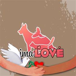 animaLOVE Sklep Zoologiczny ubranka pooperacyjne Karmy z dobrym składem Dowóz do klienta, Tarnów godziny otwarcia
