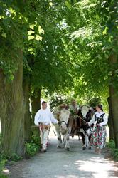 Muzeum Narodowe Rolnictwa i Przemysłu Rolno-Spożywczego w Szreniawie, Komorniki godziny otwarcia