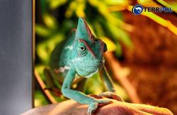 Terrpol Terrarystyka. Sklep zoologiczno - wędkarski. Usługi szklarskie., Grajewo godziny otwarcia
