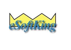 eSoftKing - producent i dostawca ACVehicle, Zalasewo godziny otwarcia
