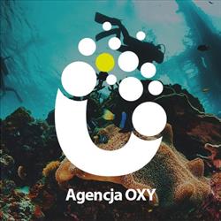 Agencja Interaktywna OXY, Lublin godziny otwarcia