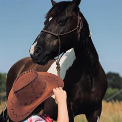 UKJ Pony Club Plochocin. Jockey Club, Dobra godziny otwarcia