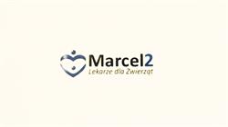 Marcel2 - Lekarze Dla Zwierząt, Warszawa godziny otwarcia