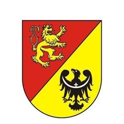 Powiat Lwówecki, Lwówek Śląski godziny otwarcia