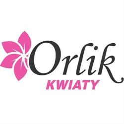 Kwiaty Orlik - Hurtownia Kwiatów Sztucznych, Import, Mrągowo godziny otwarcia