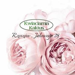 Kwiaciarnia Kaktus, Rzeszów godziny otwarcia