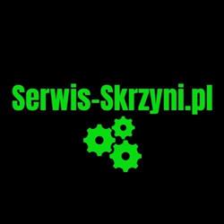 Serwis-Skrzyni.pl - naprawa i regeneracja skrzyni biegów samochodów osobowych i dostawczych, Zebrzydowice godziny otwarcia