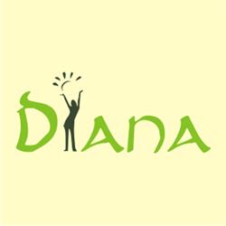 Salon Zdrowia i Urody Diana, Gliwice godziny otwarcia