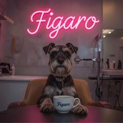 Salon Piękności dla psów Figaro, Luboń godziny otwarcia