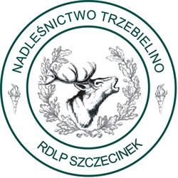 Nadleśnictwo Trzebielino, Lasy Państwowe, godziny otwarcia