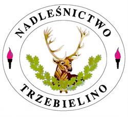Nadleśnictwo Trzebielino, Lasy Państwowe, godziny otwarcia