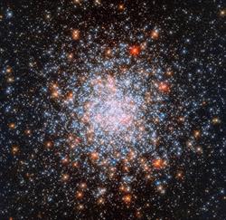 Planetarium Instytutu Astronomicznego Uniwersytetu Wrocławskiego, godziny otwarcia