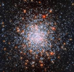 Planetarium Instytutu Astronomicznego Uniwersytetu Wrocławskiego, godziny otwarcia