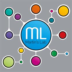 Martin's Lab, Zamek Bierzgłowski godziny otwarcia