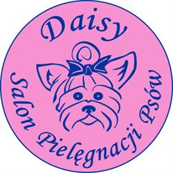 Psi fryzjer Daisy, Wałbrzych godziny otwarcia