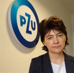 PZU Ubezpieczenia Kołczygłowy - Agent Renata Zielińska, godziny otwarcia
