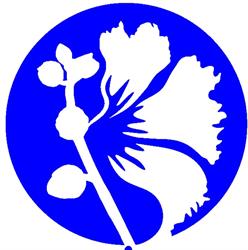 Malwowa Biuro Rachunkowe, Poznań godziny otwarcia