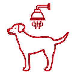 Wash Dog EXPRESS, Wałbrzych godziny otwarcia