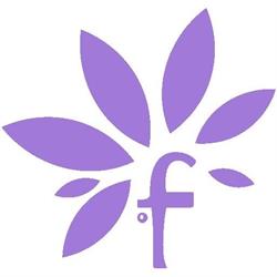 Fengo Sp. z o.o., Cieszyn godziny otwarcia