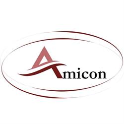 Amicon Sp. z o.o. Bramy i ogrodzenia, Zabrze godziny otwarcia