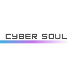Cyber Soul - PR & Social Media & Influencer Marketing, Warszawa godziny otwarcia