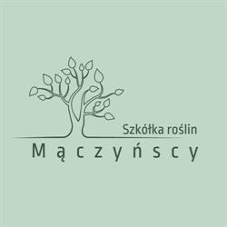 Mączyńscy Szkółka Roślin, Wieruchów godziny otwarcia