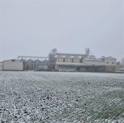 Młyn GRAŻYNA, Racice godziny otwarcia
