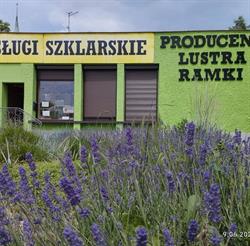 Centrum Szkła Paweł Górski, Legnica godziny otwarcia