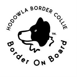 Hodowla Border Collie BorderOnBoard, Kamieńczyk godziny otwarcia