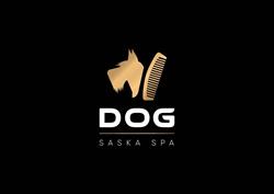 Dog Saska SPA, Warszawa godziny otwarcia