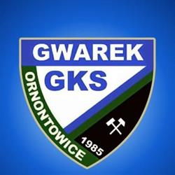 GKS Gwarek Ornontowice, godziny otwarcia