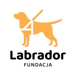 Labrador Pies Przewodnik. Fundacja na Rzecz Osób Niewidomych, Poznań godziny otwarcia