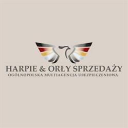 Harpie & Orły Sprzedaży sp. z o.o., Gliwice godziny otwarcia