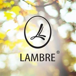 Lambre Groupe International Sp. z o.o., Gdańsk godziny otwarcia