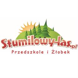 Żłobek i Przedszkole Stumilowy Las, Poznań godziny otwarcia