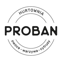 PROBAN SP. Z O.O., Katowice godziny otwarcia