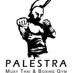 Palestra Warszawa - Muay Thai & Boxing Gym, Raszyn godziny otwarcia